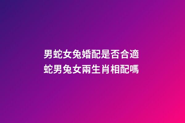 男蛇女兔婚配是否合適 蛇男兔女兩生肖相配嗎-第1張-觀點(diǎn)-玄機(jī)派